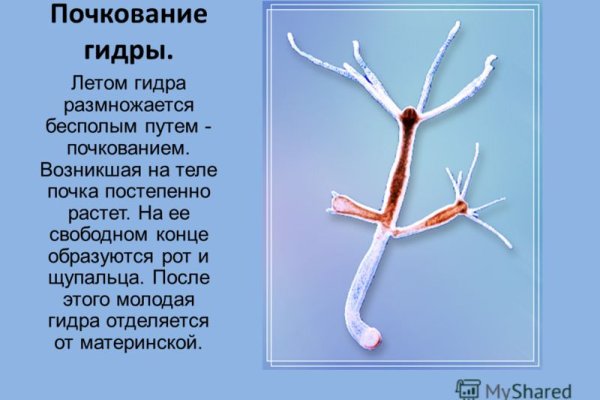 Что продают в кракен маркете