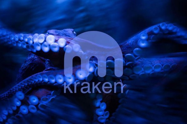 Kraken рабочее зеркало